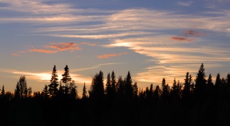 canadian-forrest-sunset-pano